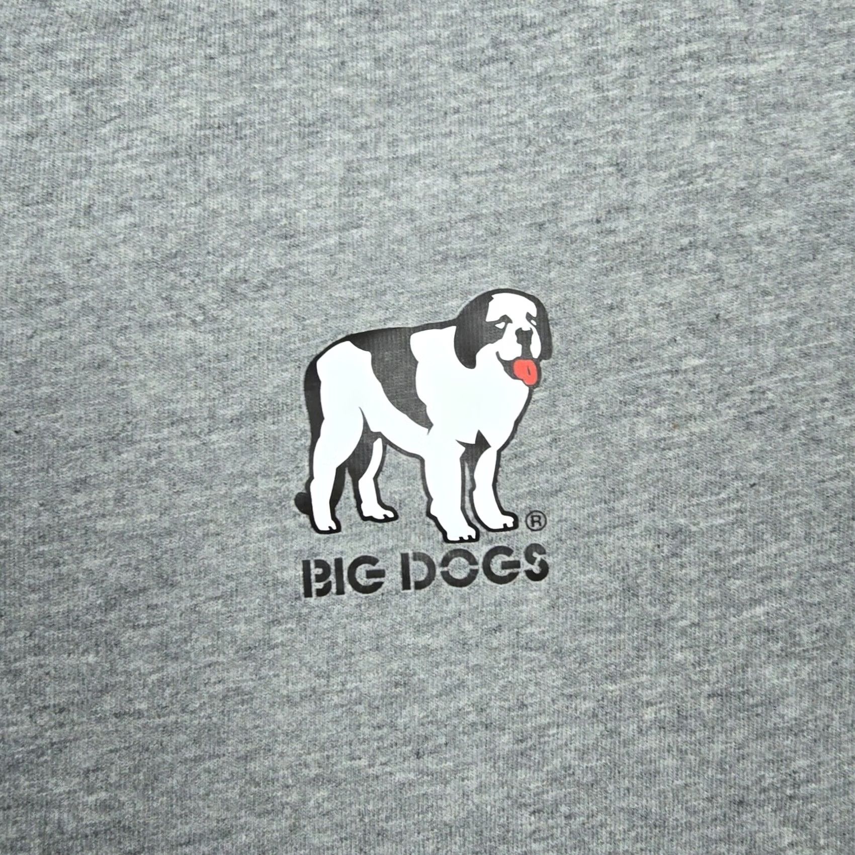 Big Dogs Big Dogs Shirt Mens XL Gray Funny Marriage I Don't Need Google Graphic Tee Size US XL / EU 56 / 4 - 4 Thumbnail
