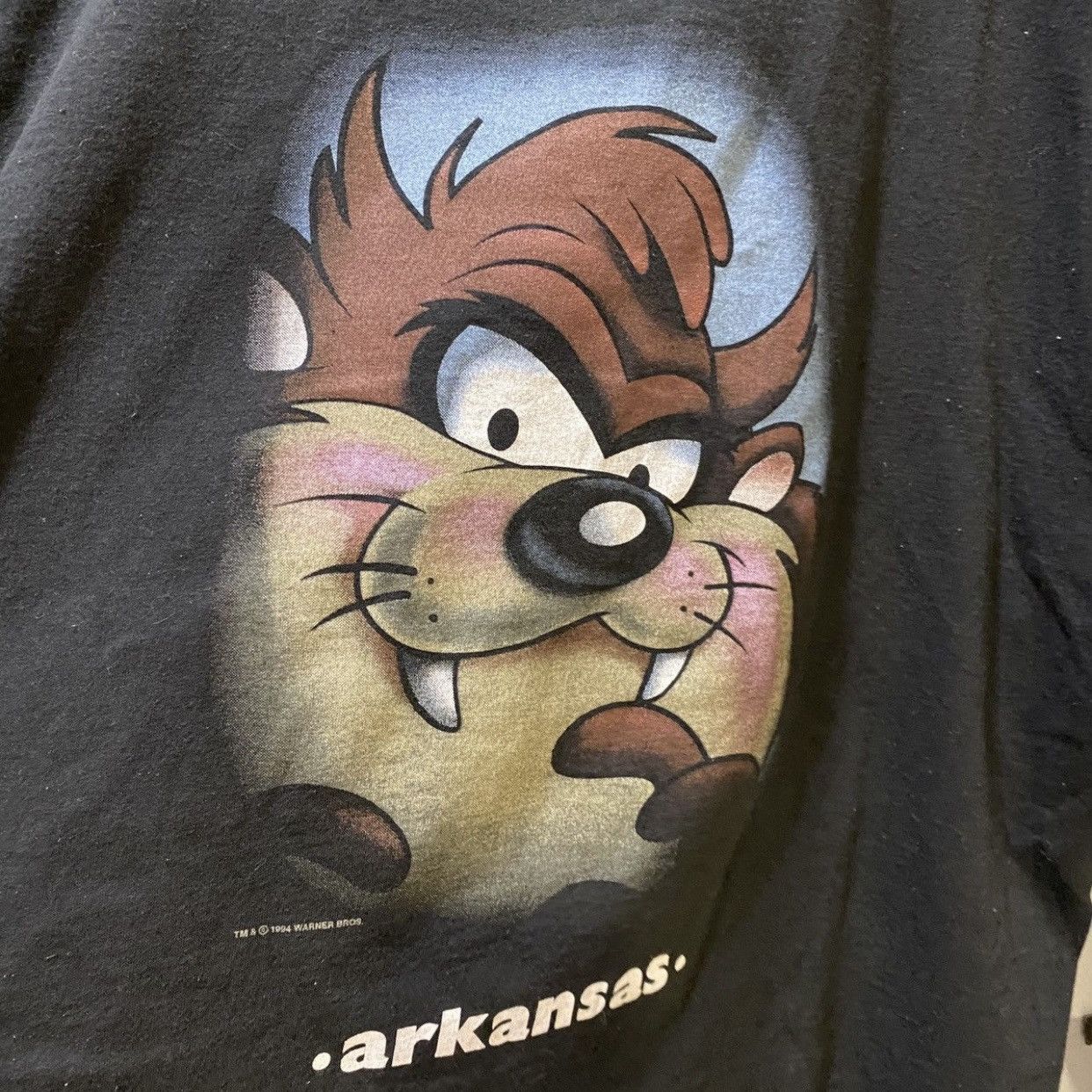 Cartoon Network × Vintage Vintage ‘94 Tasmanian Devil Warner Bros Arkansas T-Shirt XXL Size US XXL / EU 58 / 5 - 3 Thumbnail