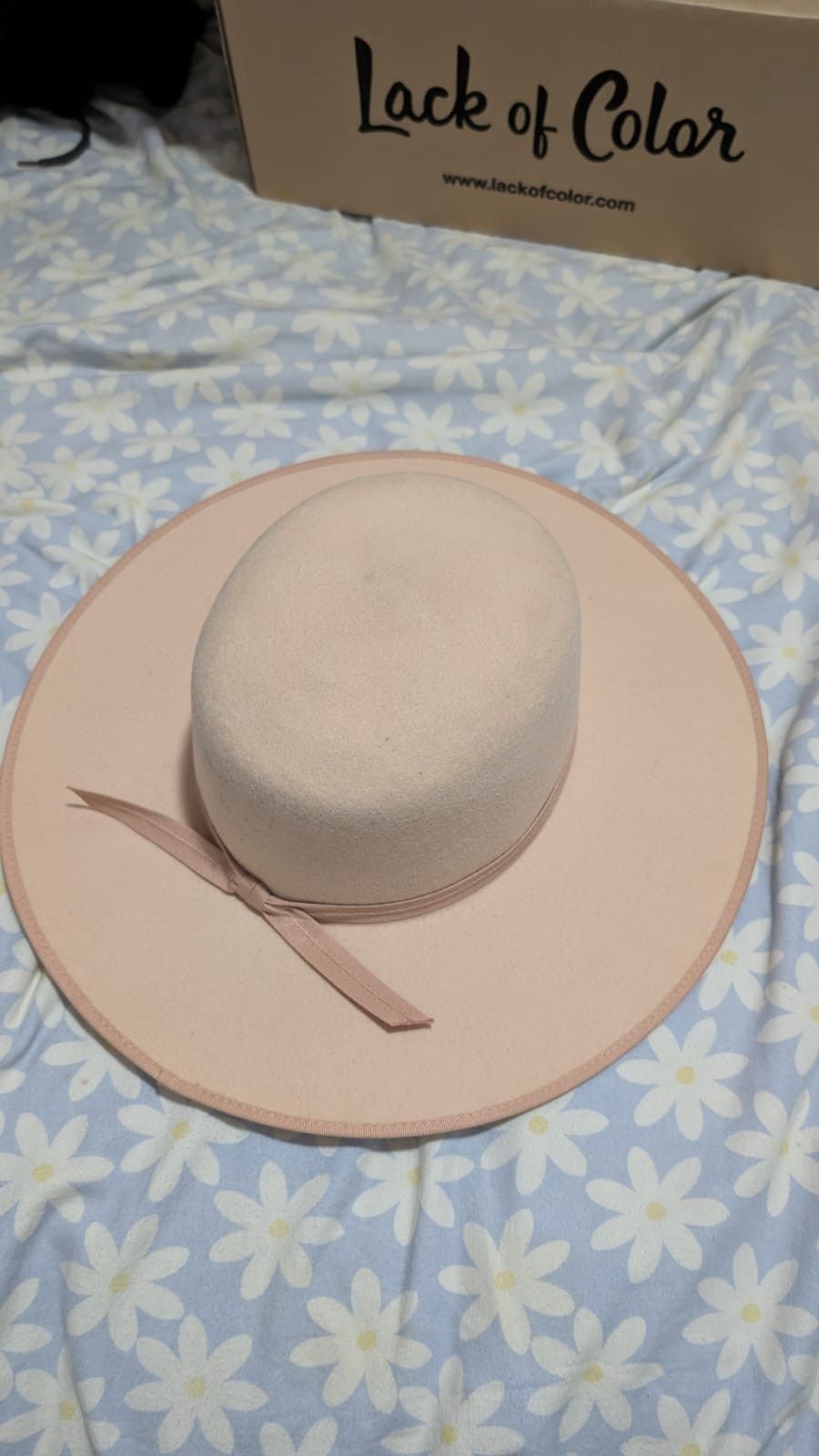 Lack of Color Lack Of Color Ivory Rancher Boater Wide Brim Hat 57cm Size ONE SIZE - 5 Thumbnail