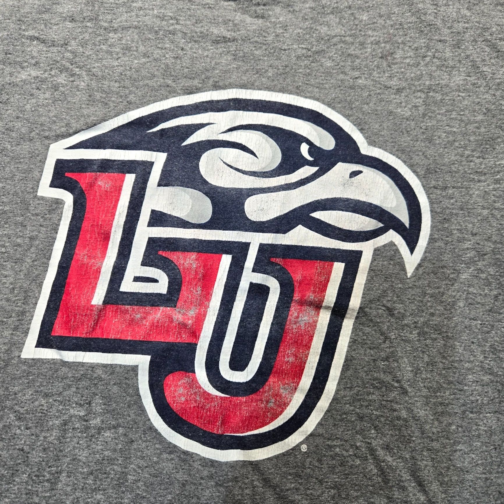 Vintage Liberty University LU Virginia VA Gray Tee T-Shirt Adult Men's Size M Medium Shirt Casual Collegiate Flames Logo Graphic Print 90s Theme Mens Size US M / EU 48-50 / 2 - 2 Thumbnail