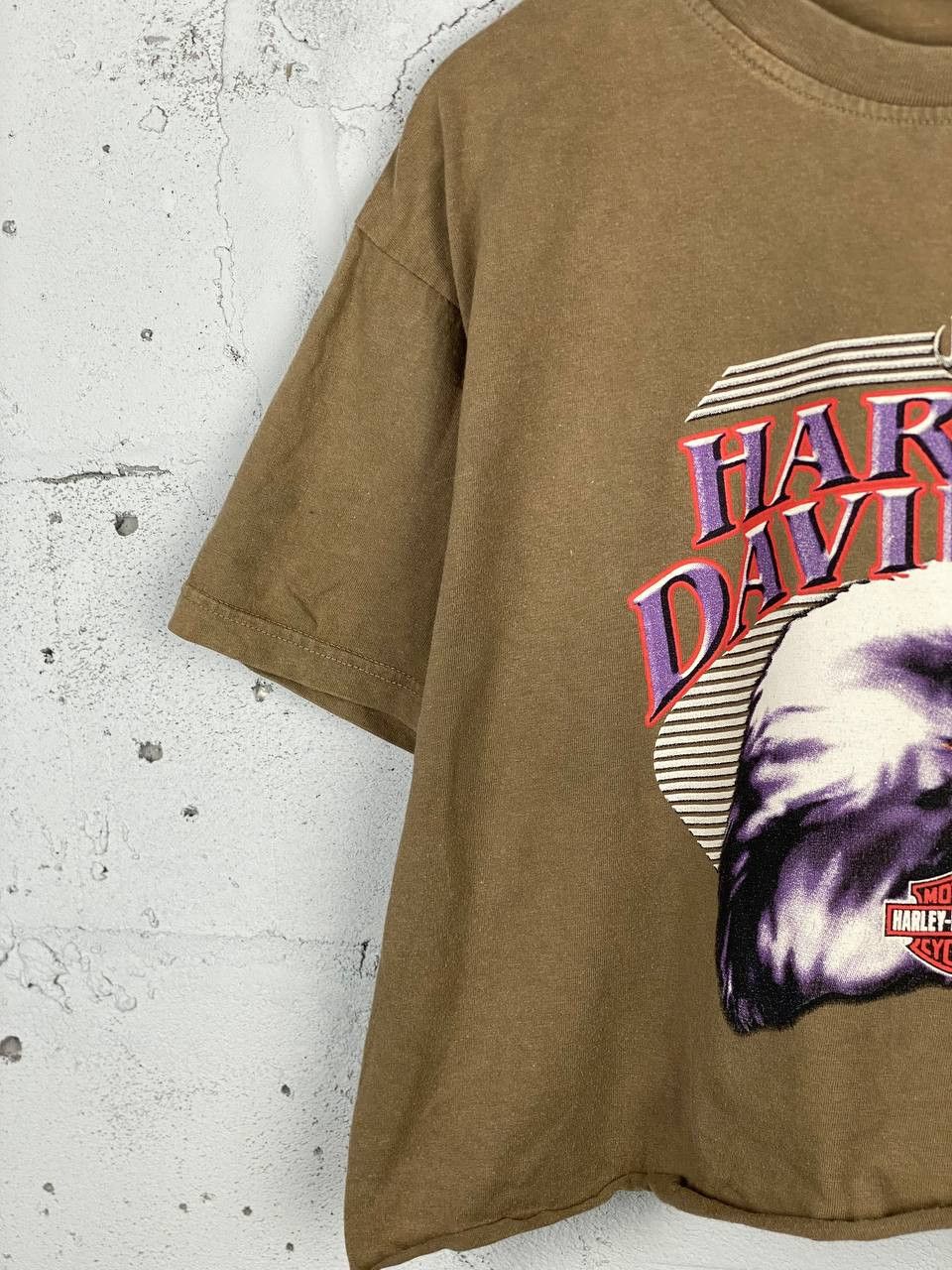 Harley Davidson × Vintage Vintage Brown Harley Davidson Flames Eagle Tank Top T Shirt Size US L / EU 52-54 / 3 - 5 Thumbnail