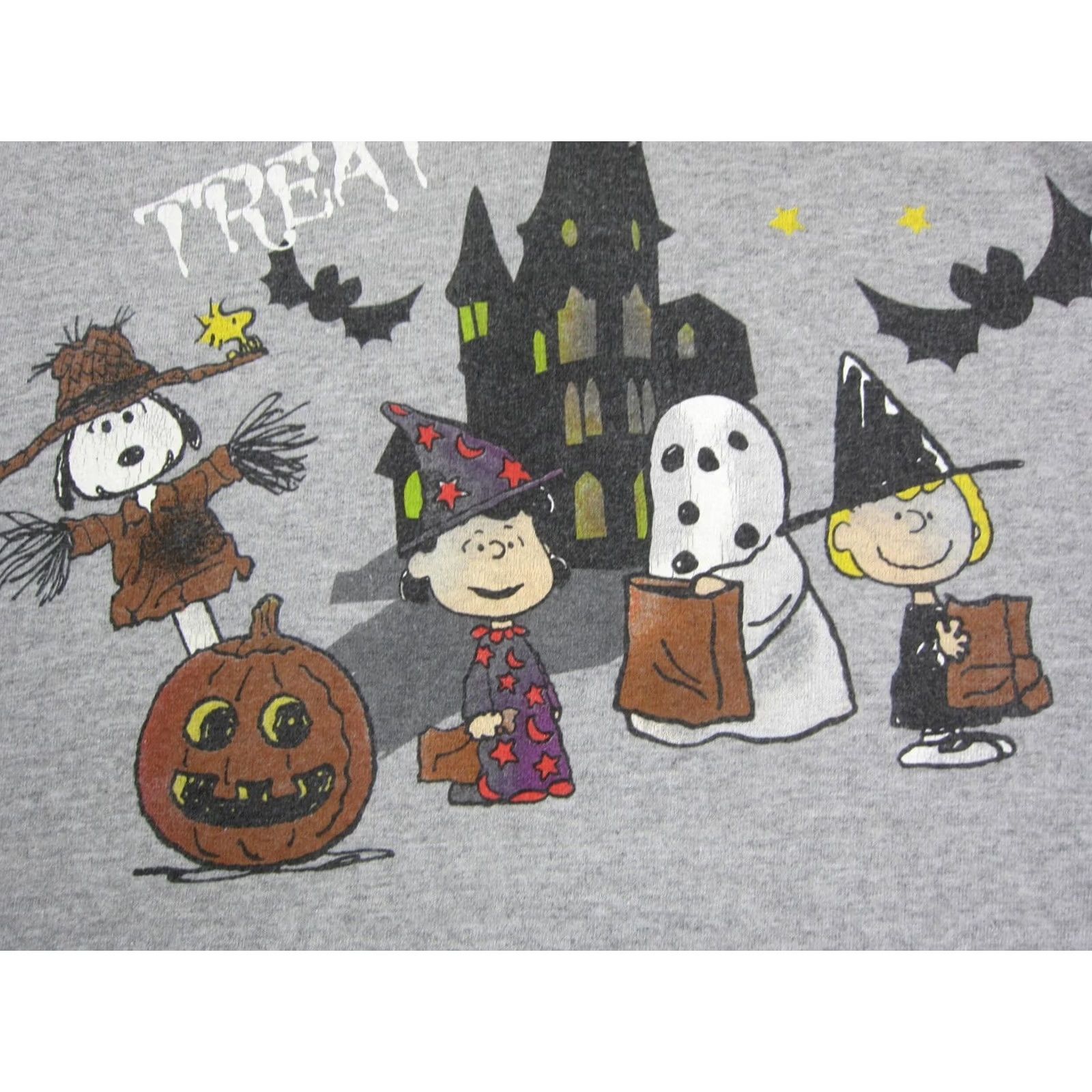 Peanuts VINTAGE Peanuts Shirt Adult Medium Gray Snoopy Charlie Brown Halloween Mens Size US M / EU 48-50 / 2 - 3 Thumbnail