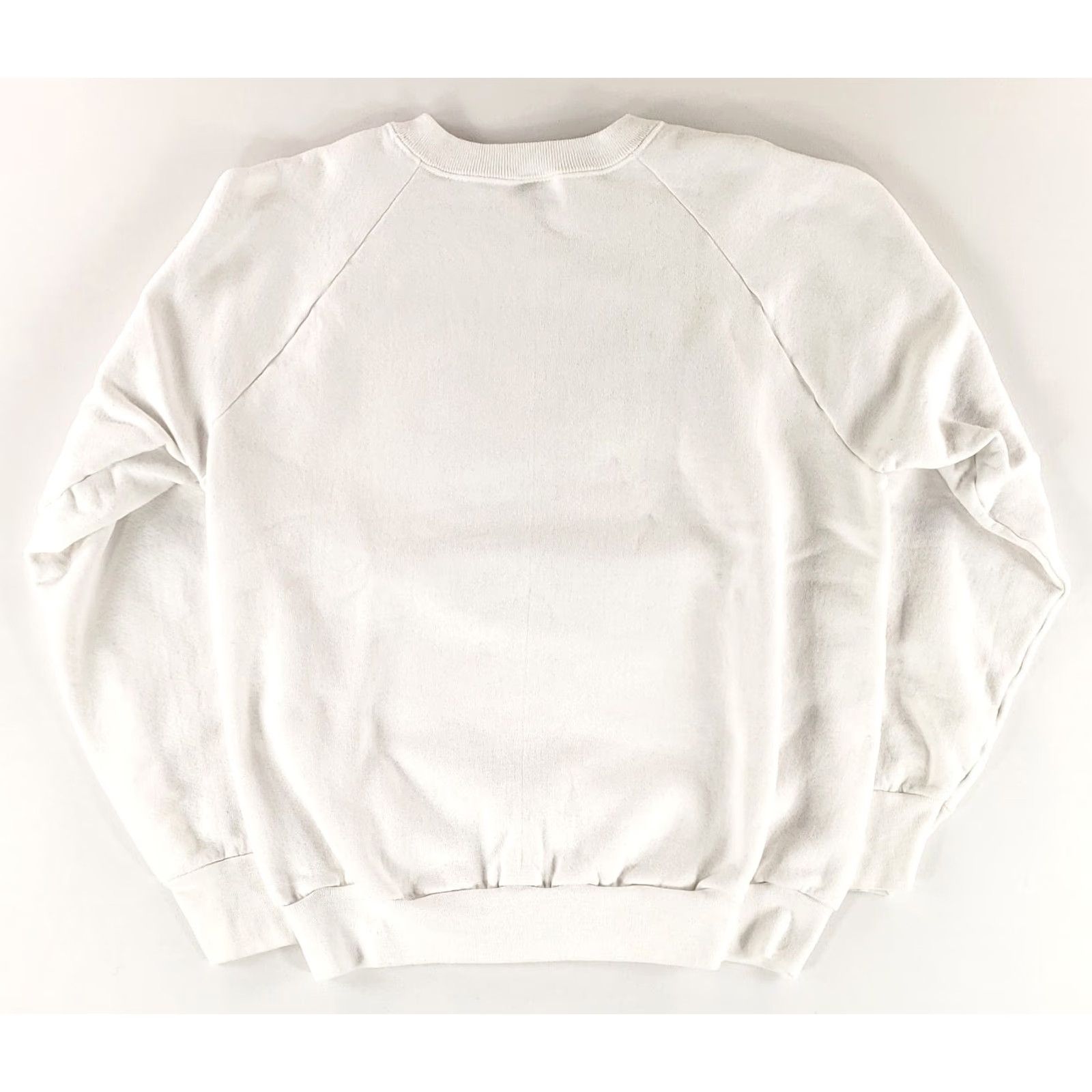 Fruit Of The Loom Fruit of the Loom Sweatshirt Plant a Tree Dog White Made USA Long Sleeve Mens L Crew Neck Pullover White Mens L Size US L / EU 52-54 / 3 - 4 Thumbnail