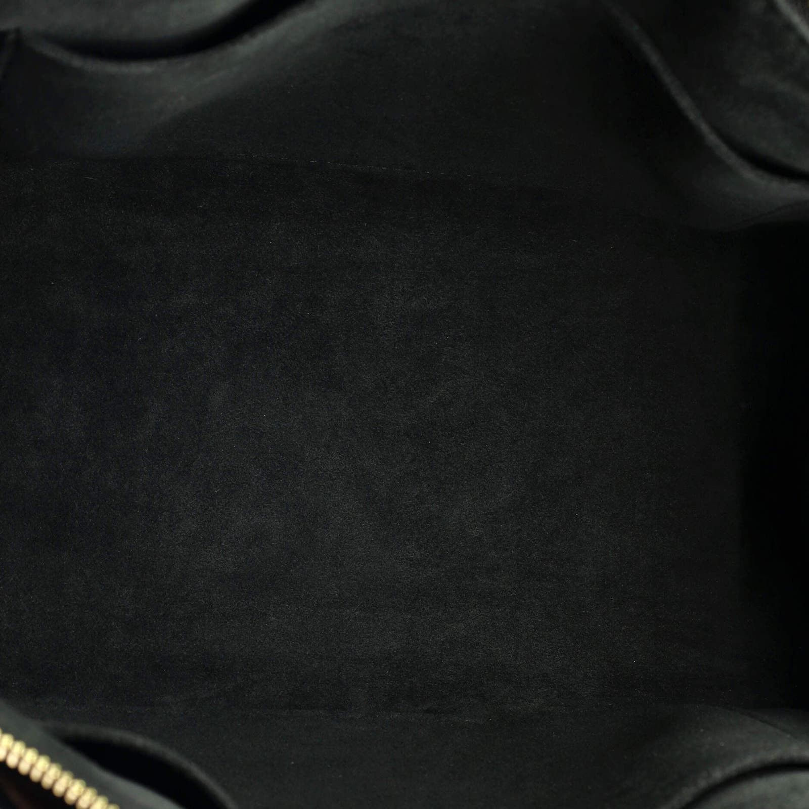 Petit Palais Handbag Bicolor Monogram Empreinte Giant None