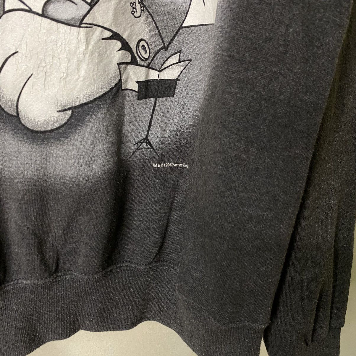 Cartoon Network × Vintage × Warner Bros Vintage 1990s Looney Tunes Sylvester & Tweety Sweatshirt Size US M / EU 48-50 / 2 - 3 Thumbnail