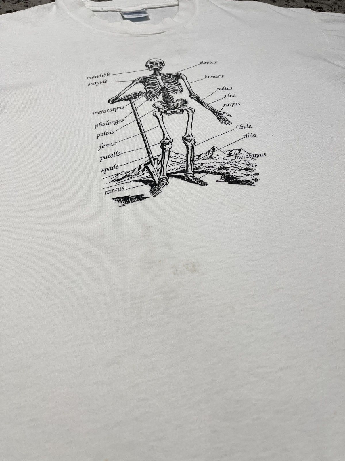 Vintage Vintage 90’s Synthes Bones ‘R’ Us Anatomy Size US XL / EU 56 / 4 - 5 Thumbnail