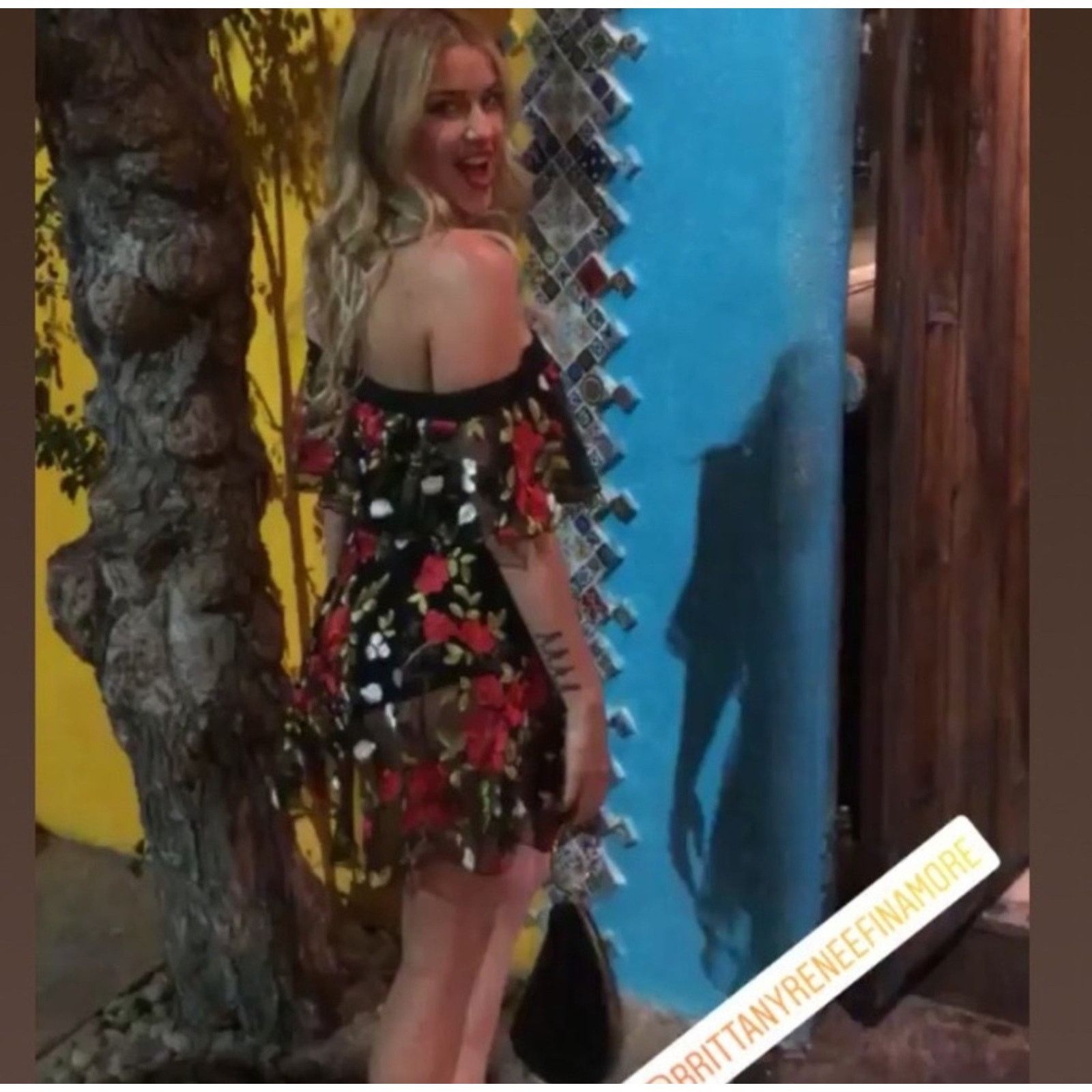 Other Lovers + Friends Erica Sheer Embroidered A Line In Halcyon Size L / US 10 / IT 46 - 5 Thumbnail