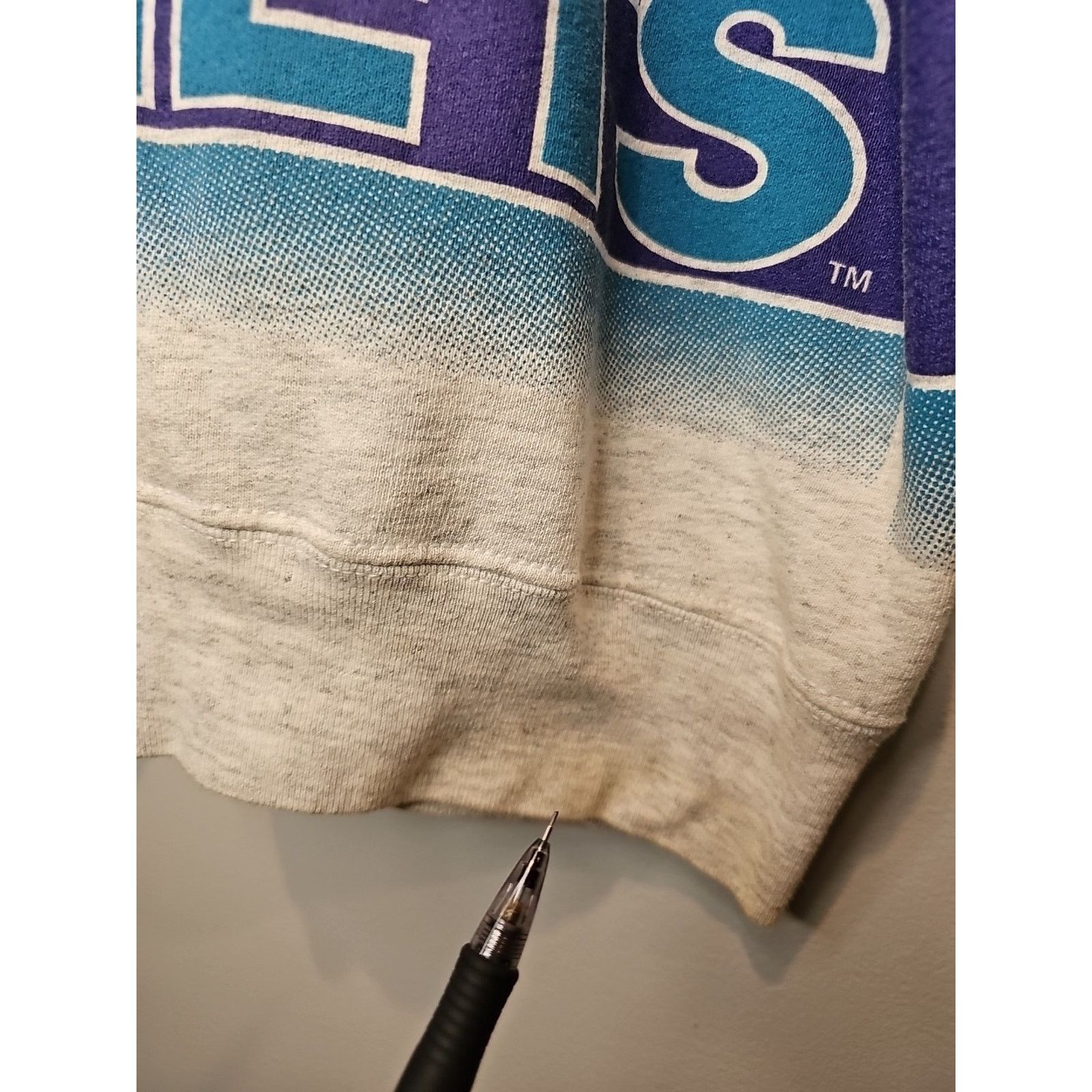 Salem Sportswear Vintage Charlotte Hornets Sweatshirt Sz L NBA Salem Crew Size US L / EU 52-54 / 3 - 3 Thumbnail