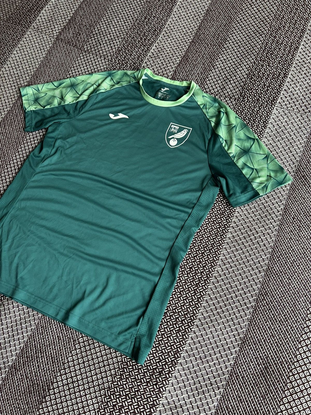 Joma Joma x Norwich City Traning Jersey Green Sportswear Size L Size US L / EU 52-54 / 3 - 2 Thumbnail