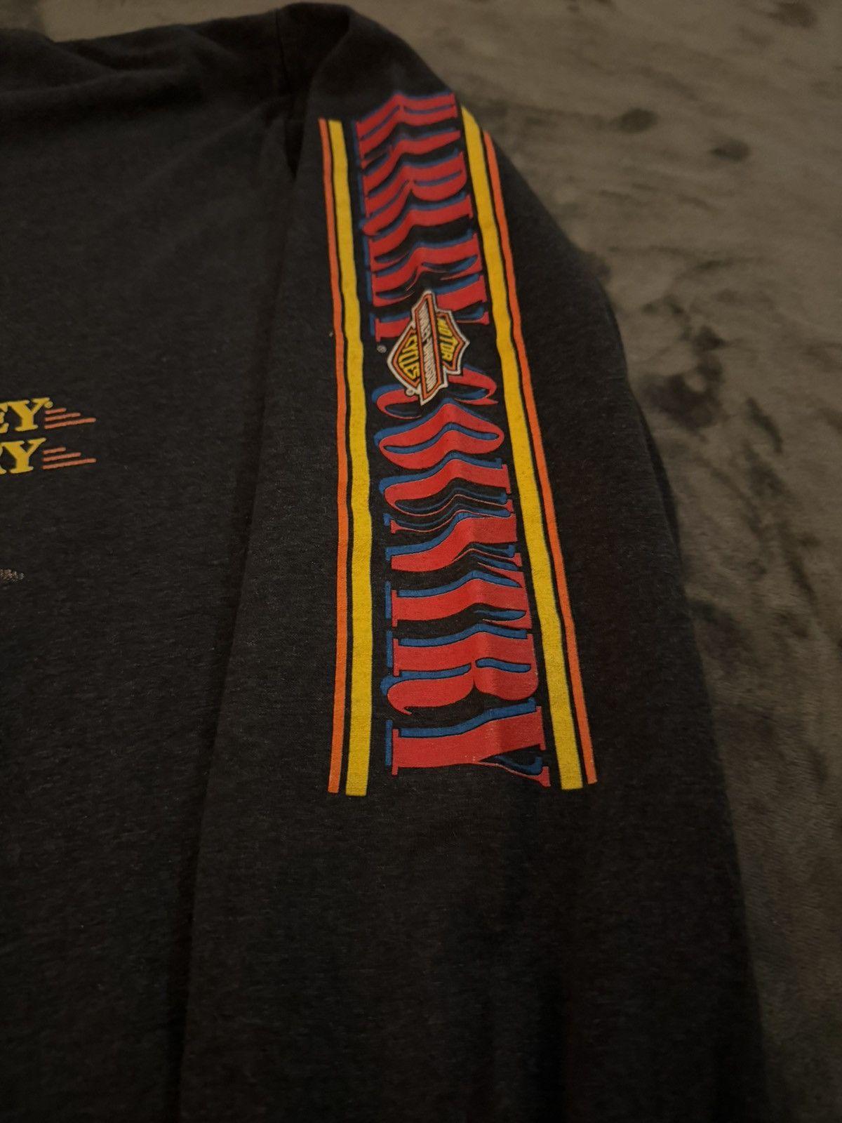 Harley Davidson Harley Davidson Harley country long sleeve Size US L / EU 52-54 / 3 - 3 Thumbnail