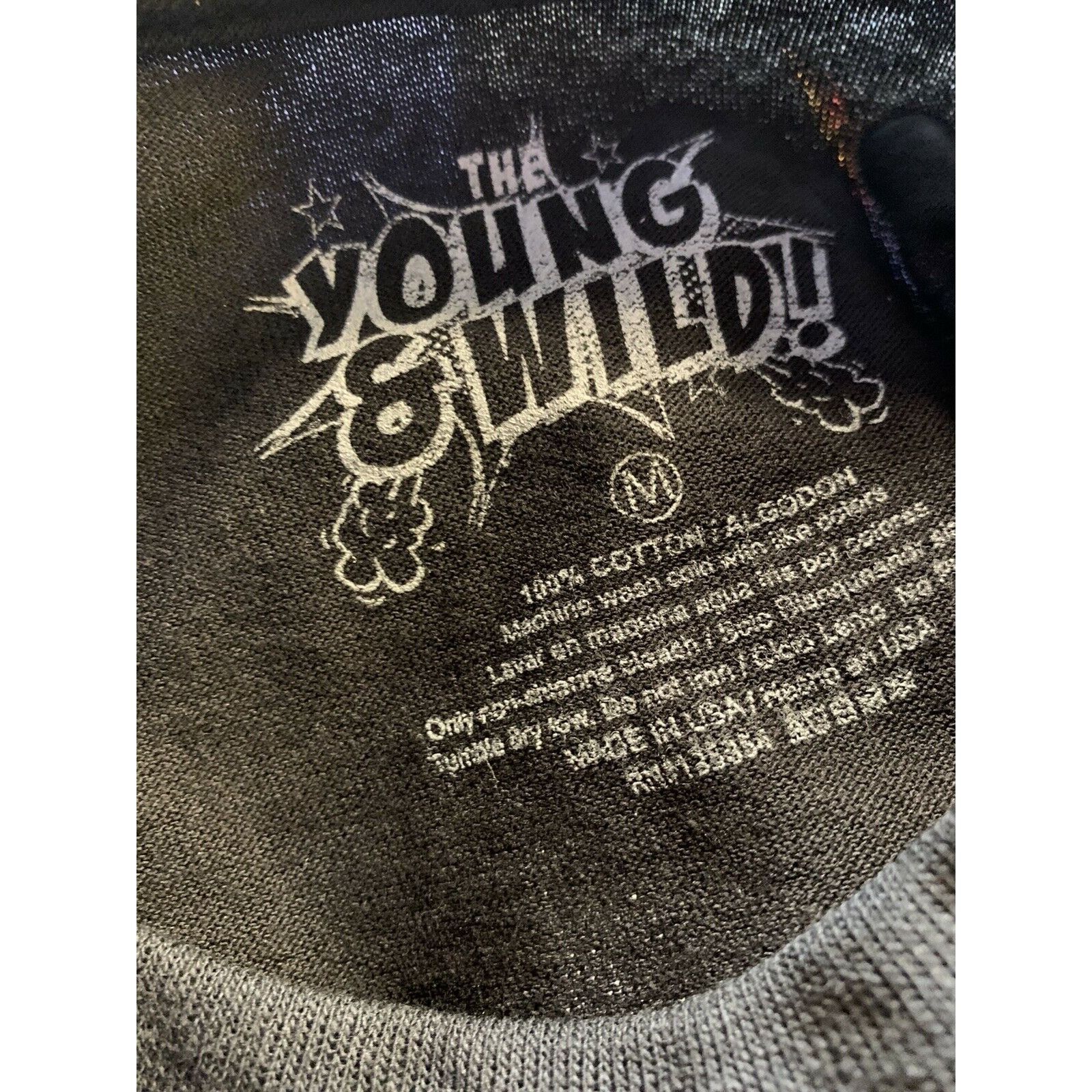 Young And Reckless The Young & Wild Mt. Fuji Men’s Sz M T Shirt Black Size US M / EU 48-50 / 2 - 2 Thumbnail