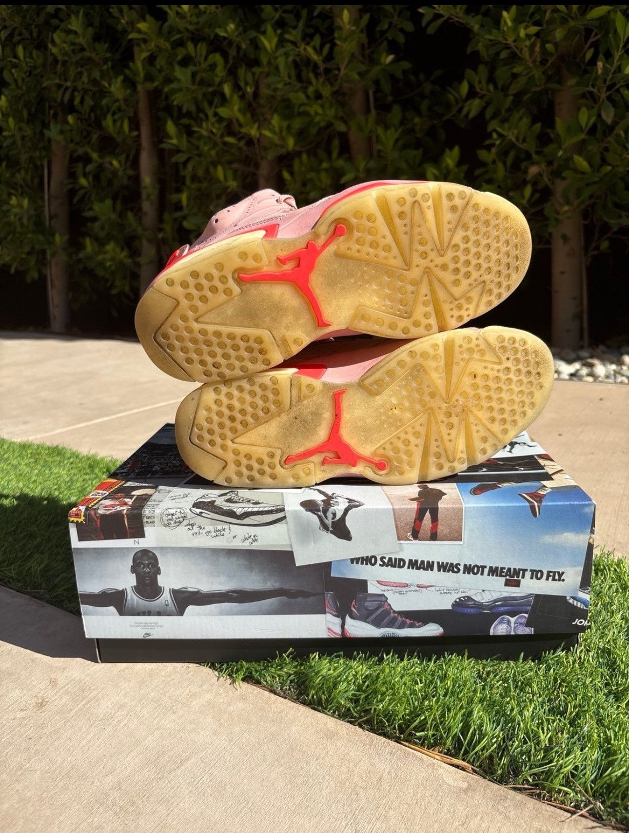 Jordan Brand Jordan 6 Retro “Aleali May” 2019 Size US 8.5 / EU 41-42 - 5 Thumbnail
