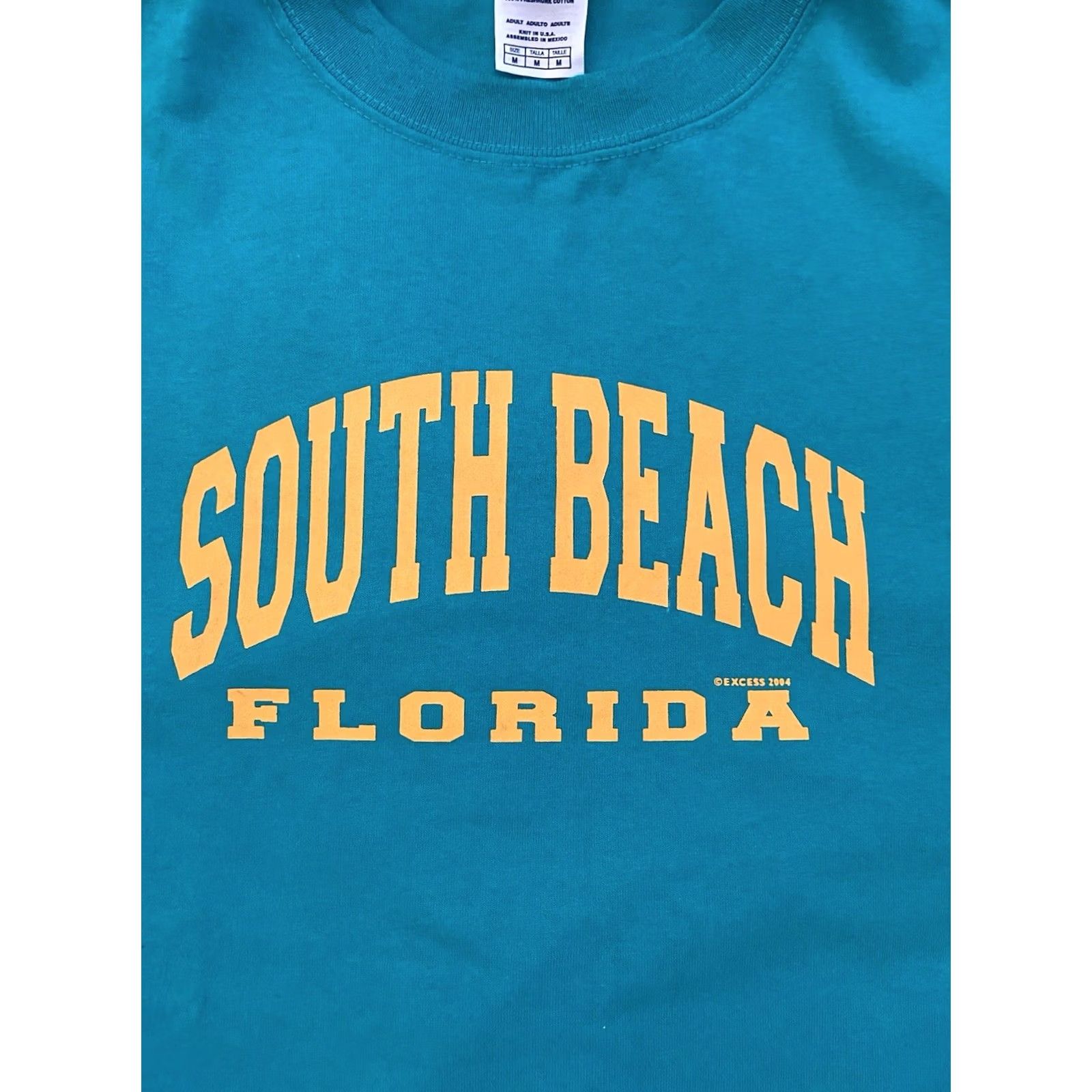 Vintage VINTAGE Y2K Excess 2004 South Beach Florida Shirt Dolphins Teal M Tourism Shirt T-Shirt Unisex Adults White Cotton Crew Neck Short Sleeve Logo Size US M / EU 48-50 / 2 - 2 Thumbnail