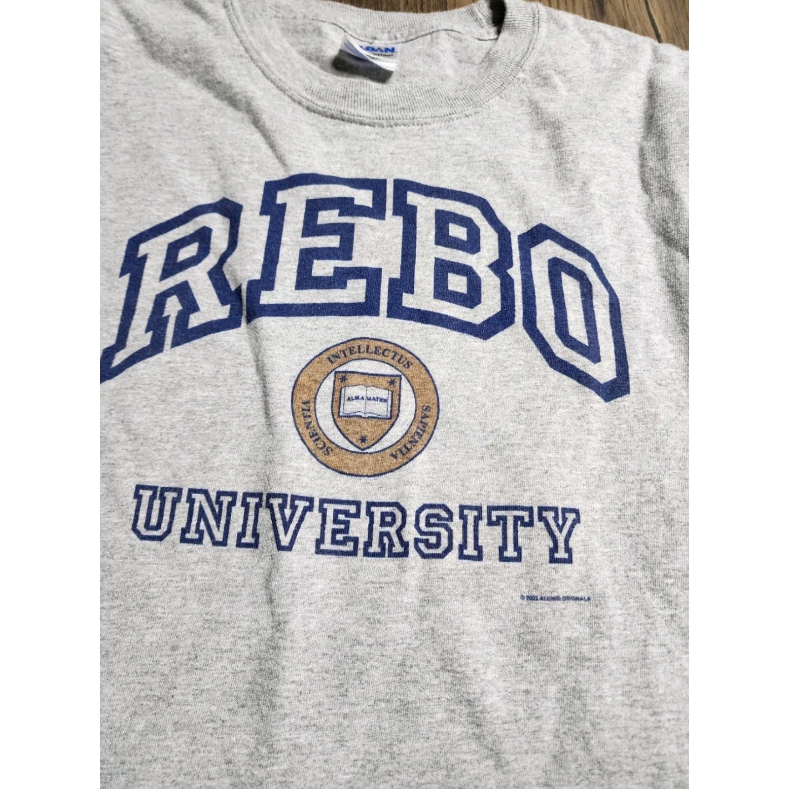 Gildan VINTAGE Gildan University T-Shirt Long Sleeve Crew Neck Men L Gray 2002 Distressed Shirt Mens Size US L / EU 52-54 / 3 - 2 Thumbnail