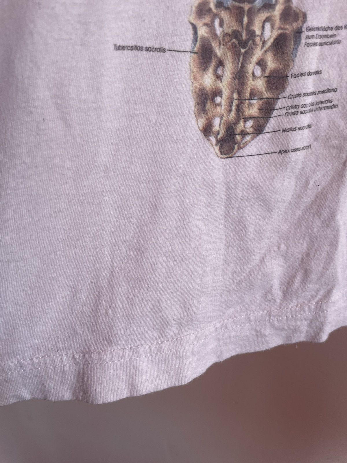 Arts & Science × Band Tees × Vintage Skeleton Anatomy Rudiger 1994 Spinal Collum Science T Shirt Size US L / EU 52-54 / 3 - 9 Thumbnail