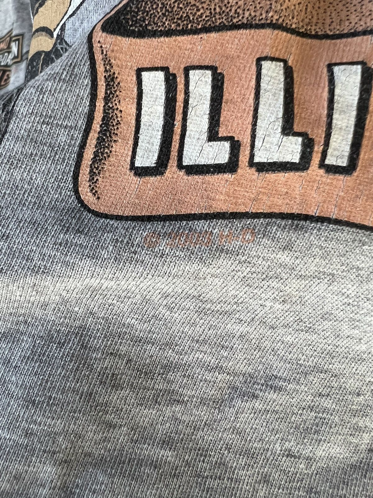 Harley Davidson Harley davidson chicago Illinois tee Size US L / EU 52-54 / 3 - 6 Thumbnail