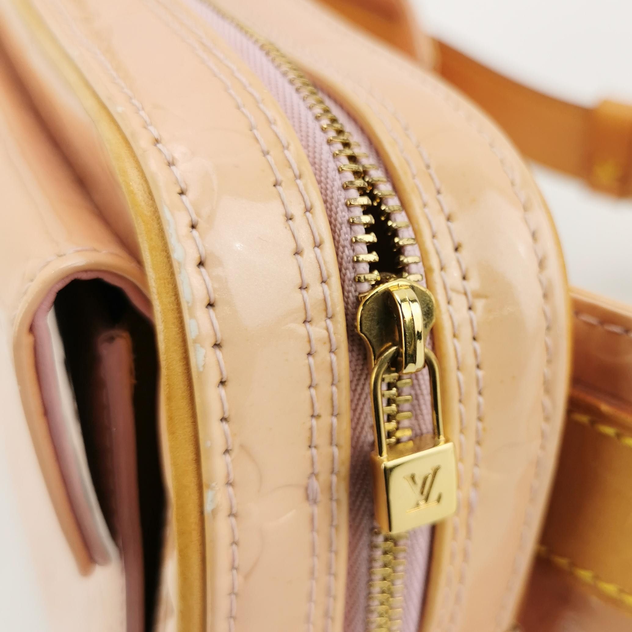 Louis Vuitton Louis Vuitton (LV) Antique Leather Embossed Waist Bag and C Size ONE SIZE - 5 Thumbnail