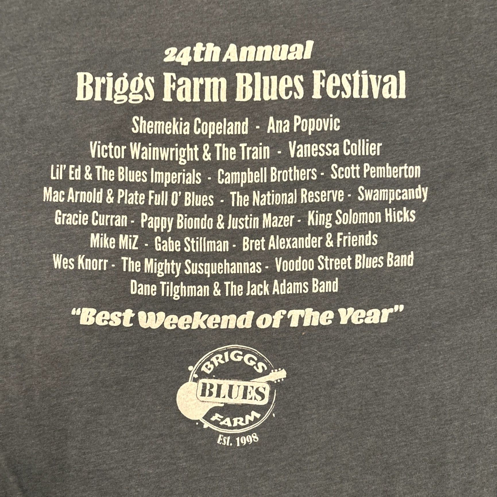 Vintage Briggs Farm Blues Festival shirt 2021 Brigsville pa Size XXL Blue Size XXL / US 16-18 / IT 52-54 - 5 Thumbnail