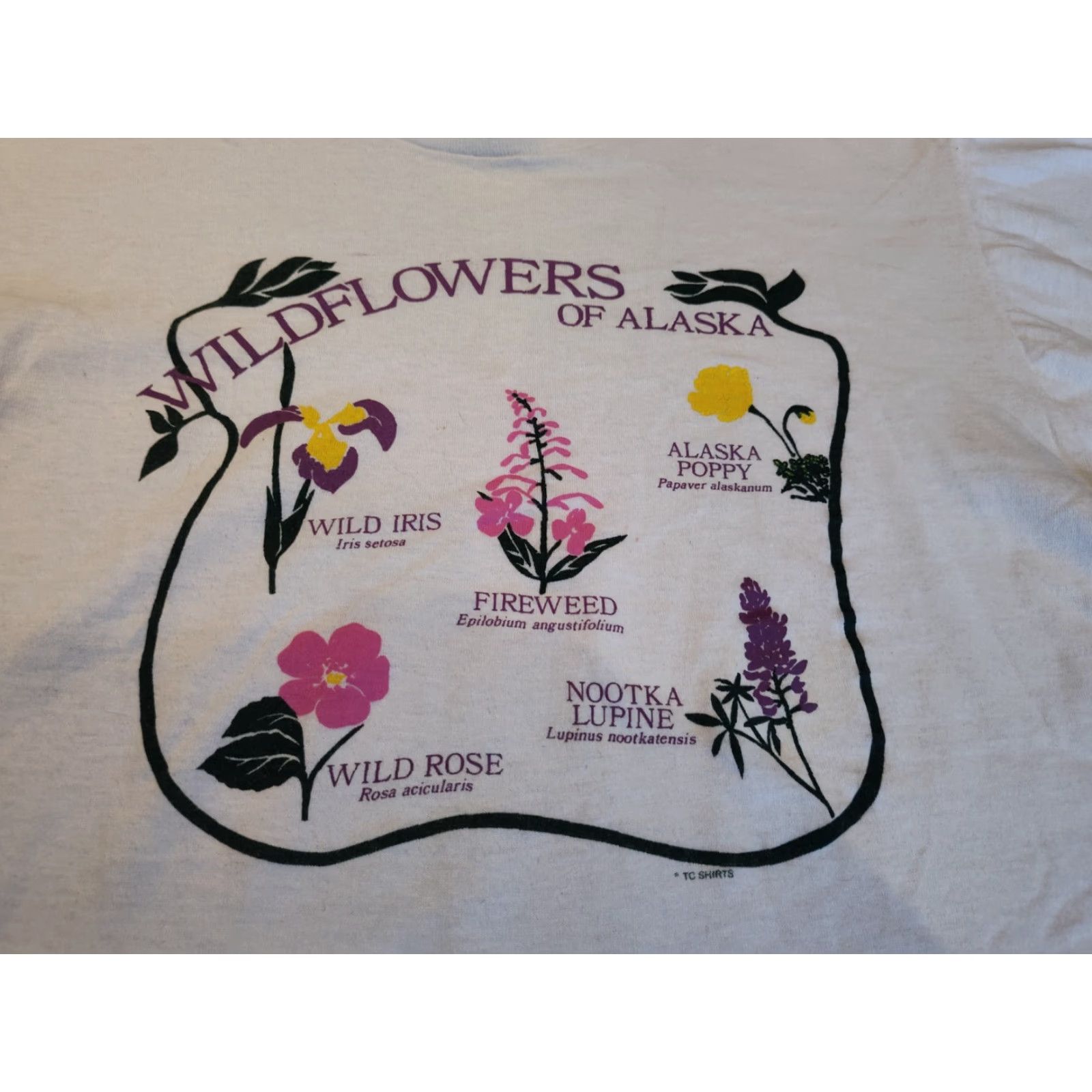 Vintage VINTAGE Screen Stars 1990s Unisex Cotton T-Shirt Wildflowers of Alaska White Large Short Sleeve Made in USA Size US L / EU 52-54 / 3 - 2 Thumbnail