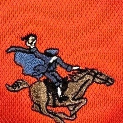 Nike Nike Dri-Fit Polo Shirt Mens 2XL Orange Golf Rugby Performance Short Sleeve Size US XXL / EU 58 / 5 - 6 Thumbnail