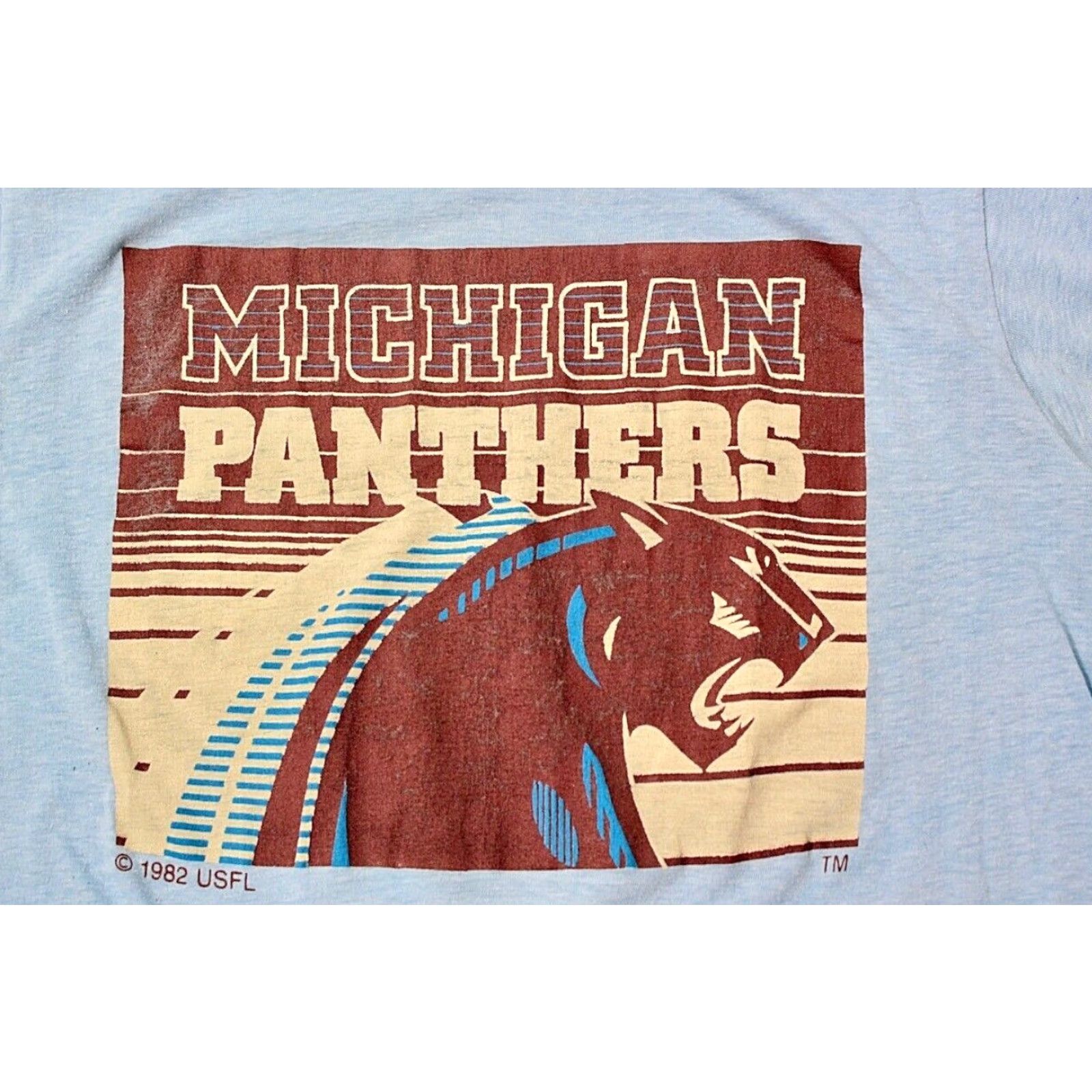 Vintage VINTAGE Men's TRUE VINTAGE 1982 Blue Michigan Panthers TShirt Sz M 80s Size US L / EU 52-54 / 3 - 3 Thumbnail