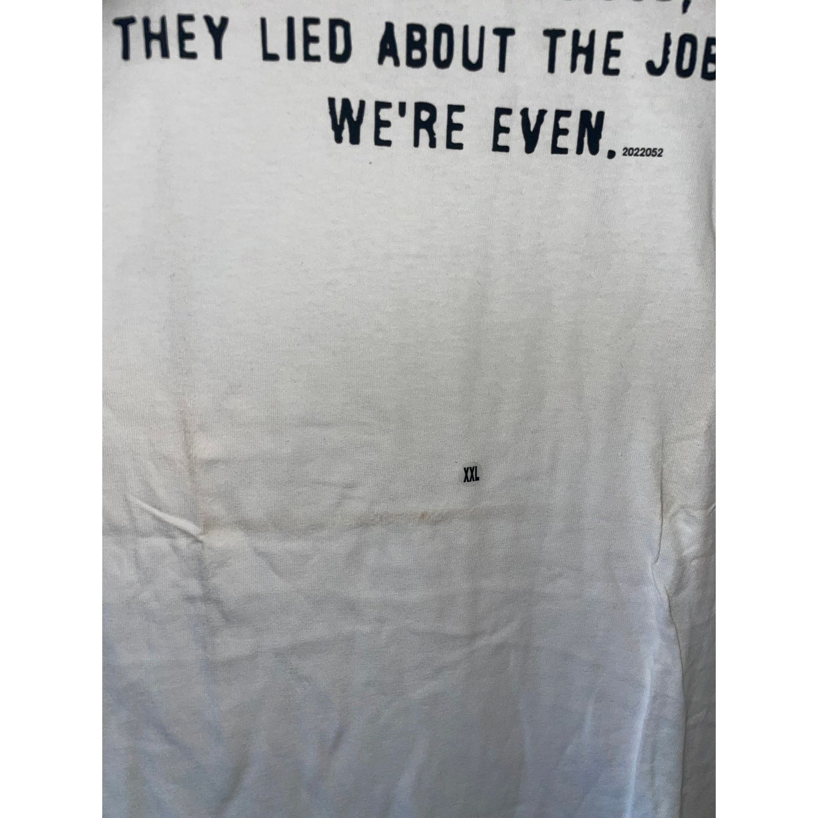 Gildan Y2K I Lied To Get The Job White Joke Humor Shirt 2000s 2XL Size US XXL / EU 58 / 5 - 4 Thumbnail