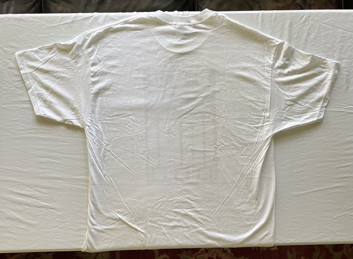 Art × Hanes × Vintage 1993 Vintage Frank Lloyd Wright Art Tee  