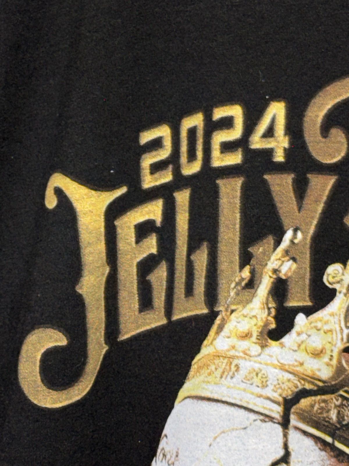 Tailorbyrd Tailorbyrd Jelly Roll 2024 Tour Graphic T Shirt Size Large Size US L / EU 52-54 / 3 - 18 Thumbnail