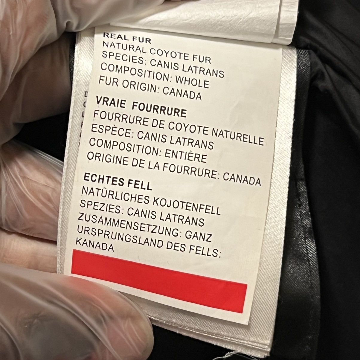 Canada Goose Canada Goose Trillum Parka Jacket Rouge Red Size US XS / EU 42 / 0 - 17 Thumbnail