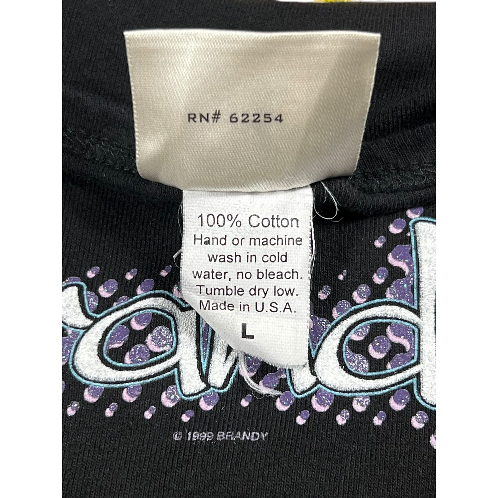 Band Tees × Rap Tees × Vintage Vintage 1999 Winterland Brandy baby style black femme tee Size L / US 10 / IT 46 - 6 Thumbnail