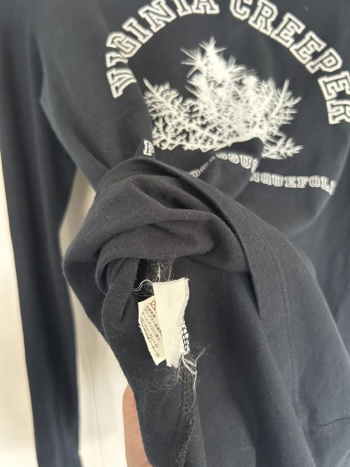 Raf Simons Raf Simons Virginia Creeper Longsleeve | Grailed
