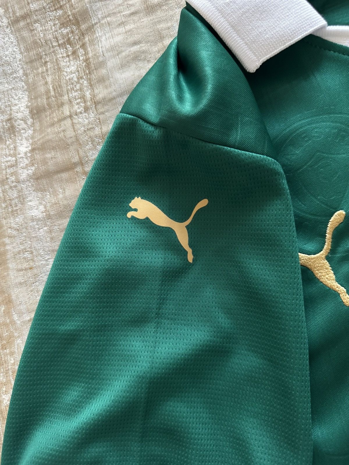 Puma Palmeiras Football team jersey Size US L / EU 52-54 / 3 - 4 Thumbnail