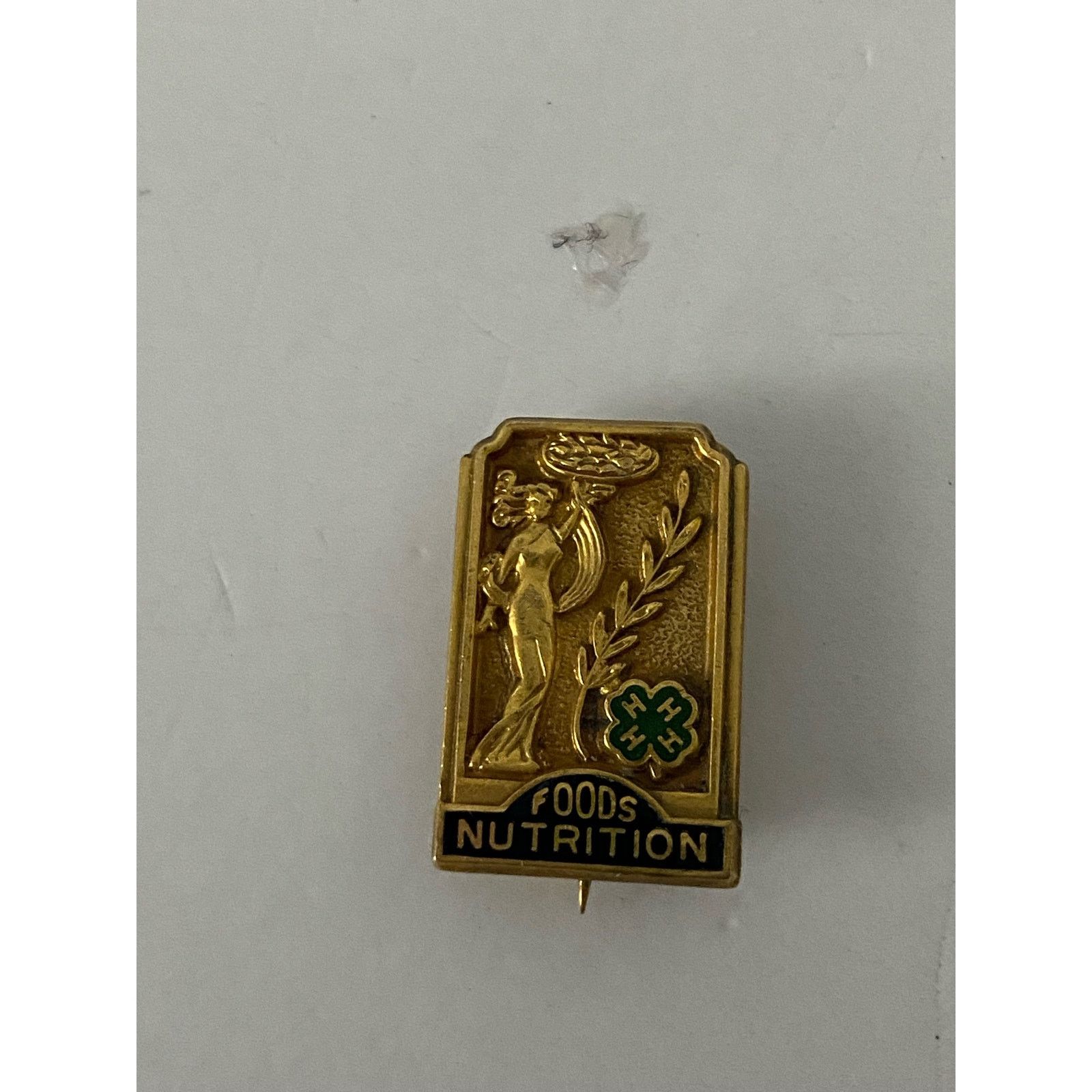 Other 4h foods nutrition pin gold tone is Size ONE SIZE - 1 Thumbnail