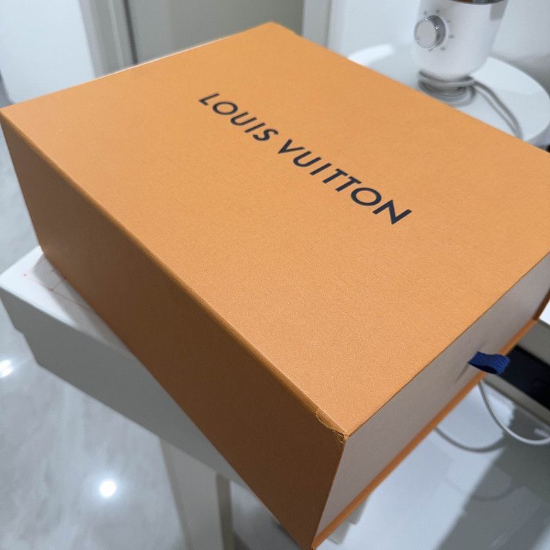 Louis Vuitton Louis Vuitton Classic Trainer Sneakers for Men -2508 Size US 7.5 / EU 40-41 - 6 Thumbnail