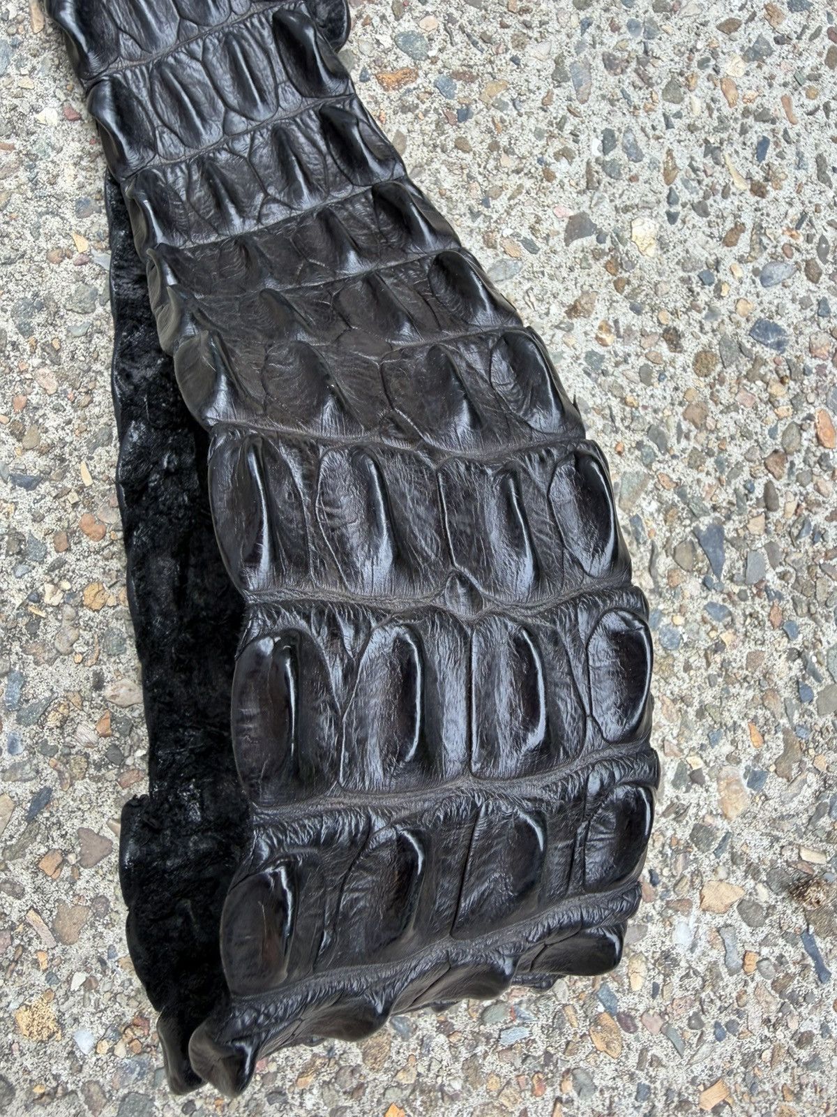 Other Vintage Black Crocodile Leather Belt – Statement / Texture Size ONE SIZE - 2 Thumbnail