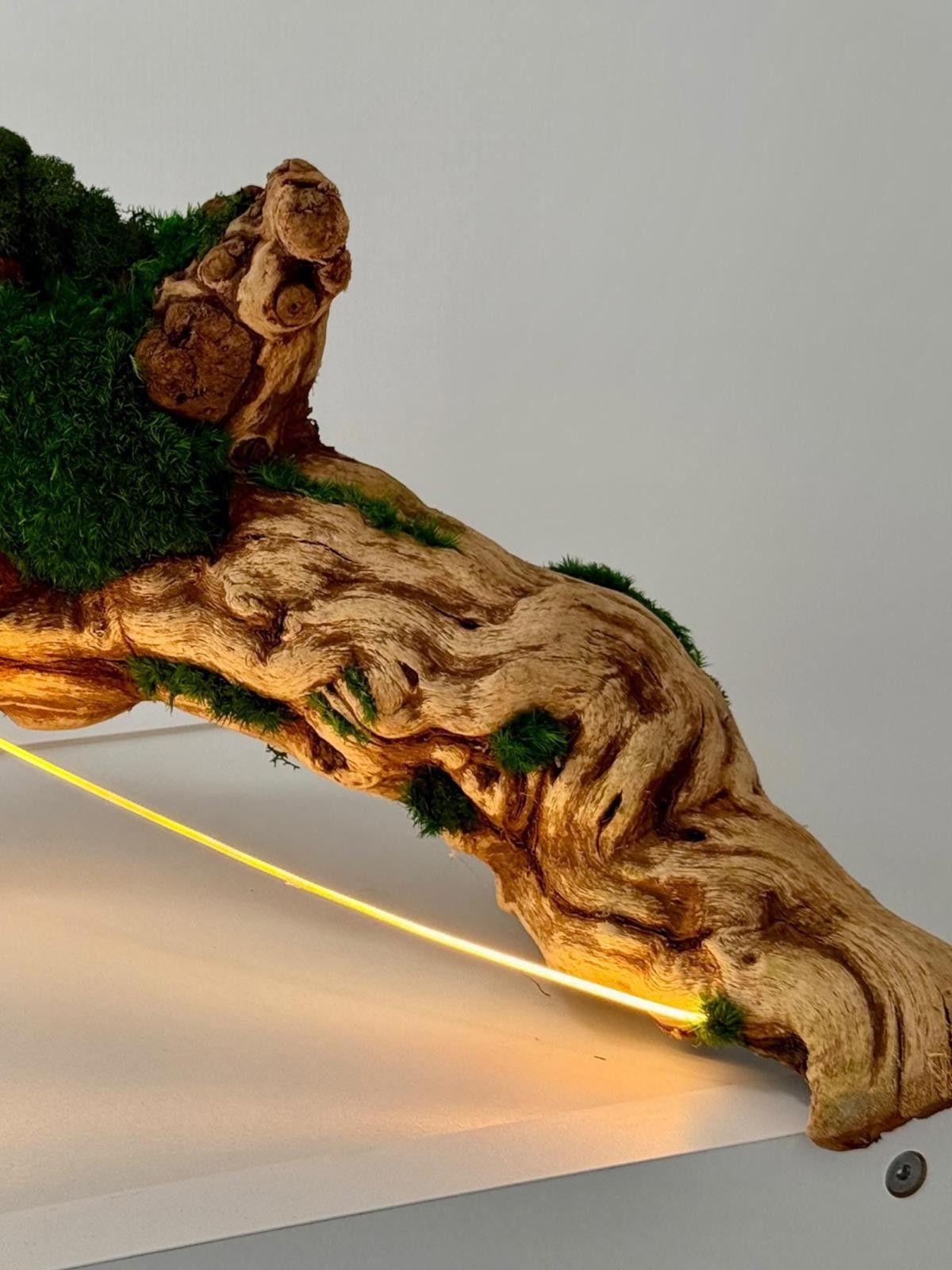 Other Organic Modern Driftwood Table Lamp Sculptural Wood Lighting Size ONE SIZE - 9 Thumbnail
