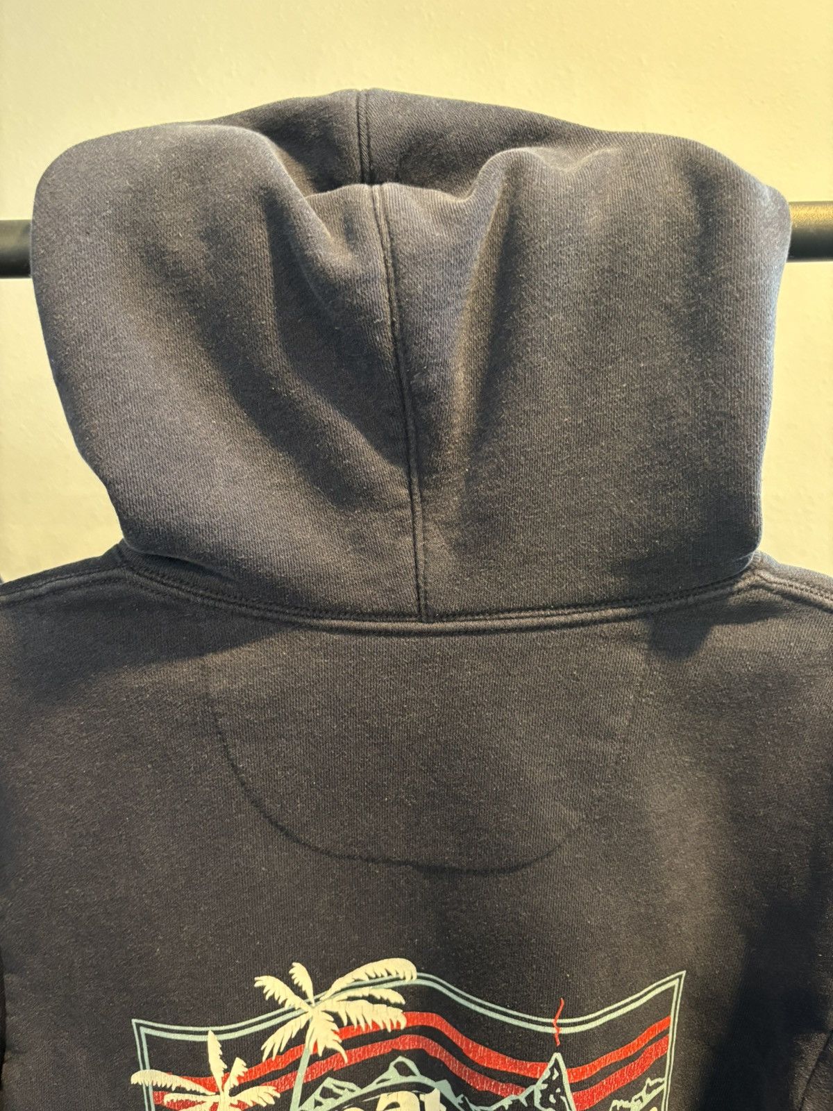 Patagonia Patagonia “Pataloha” Honolulu Hawaii 🏝️ Exclusive Hoodie Size US S / EU 44-46 / 1 - 3 Thumbnail