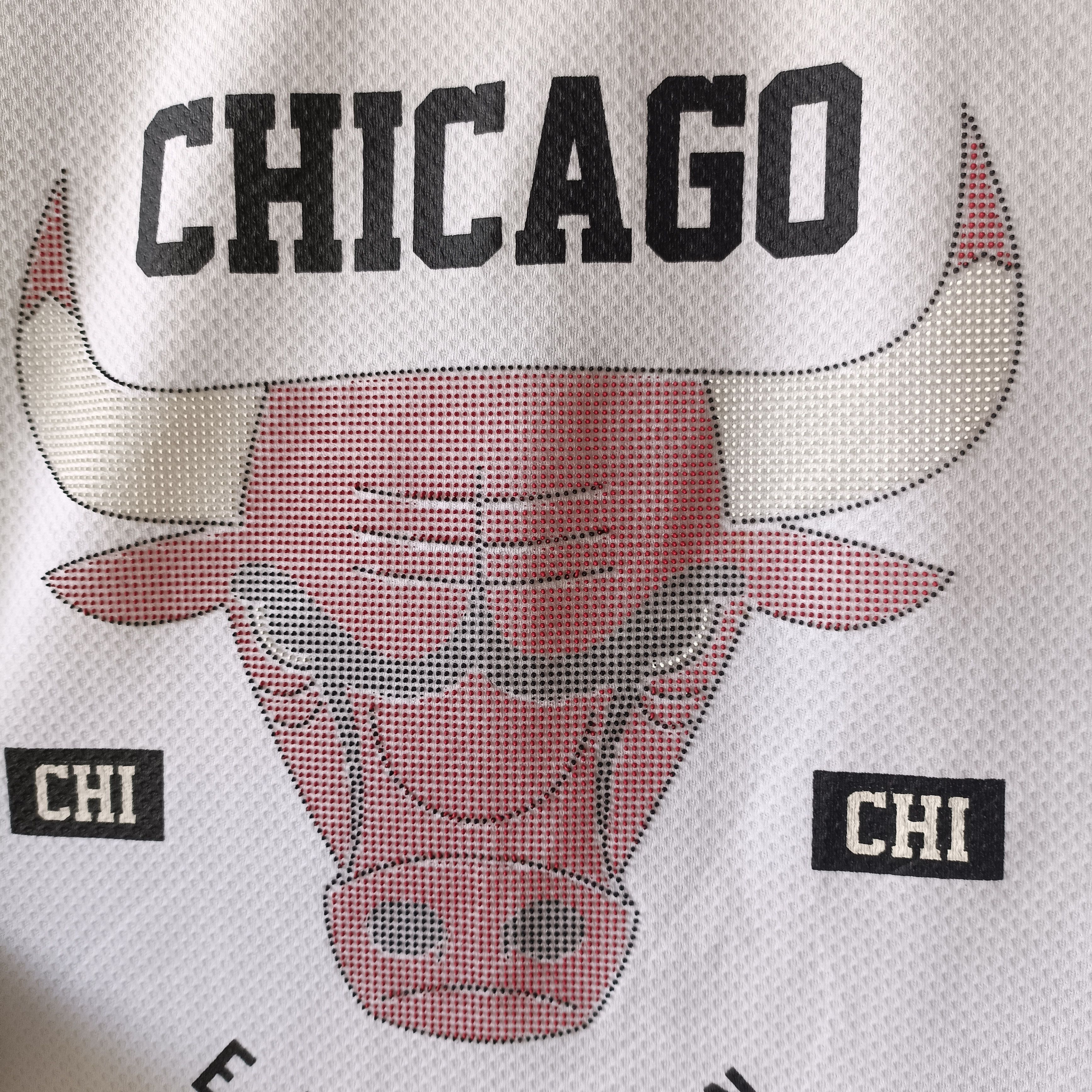 NBA NBA Chicago Bulls Fan Jersey Size US L / EU 52-54 / 3 - 4 Thumbnail