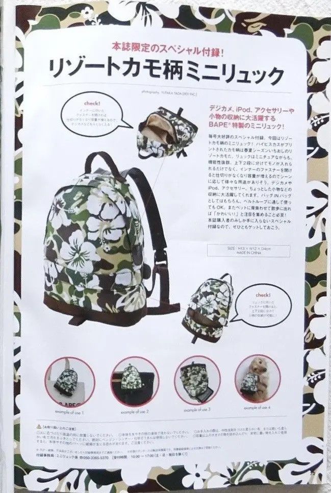 bape mini bag green magazine