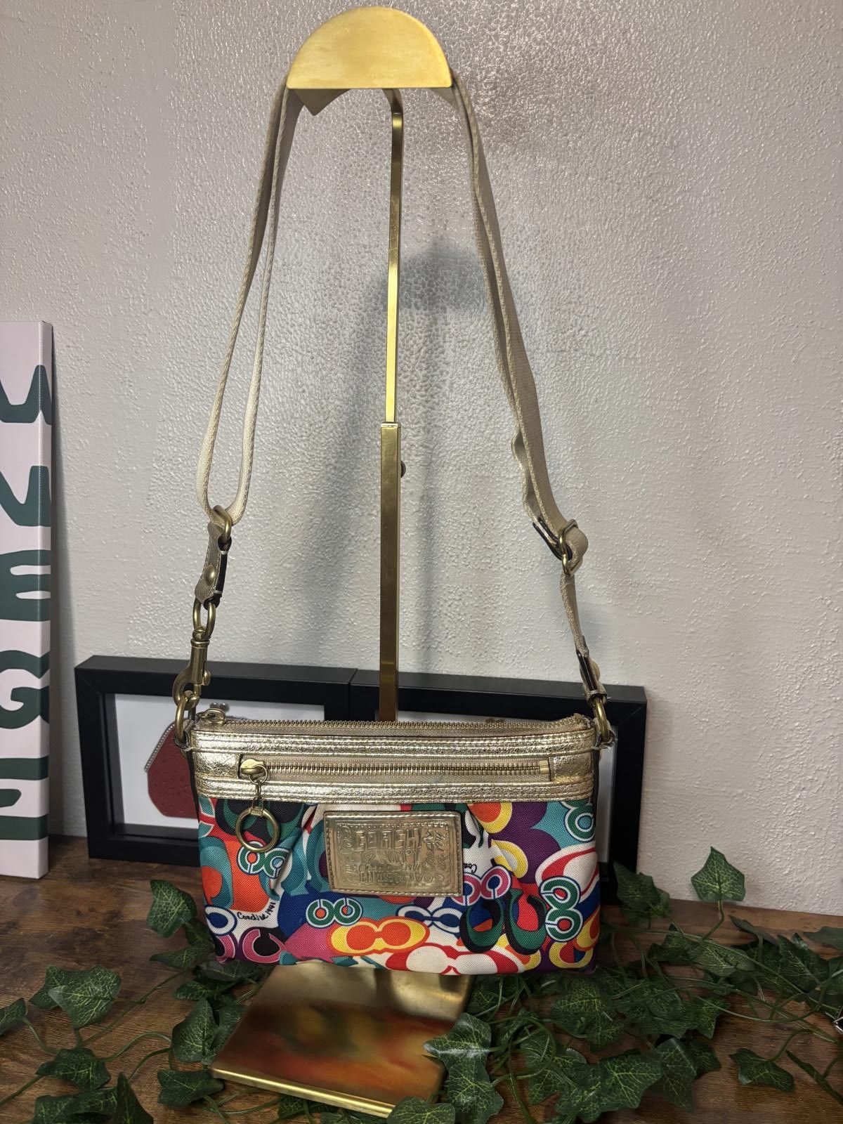 Coach Poppy Y2K Crossbody Bag – Multicolor & Gold