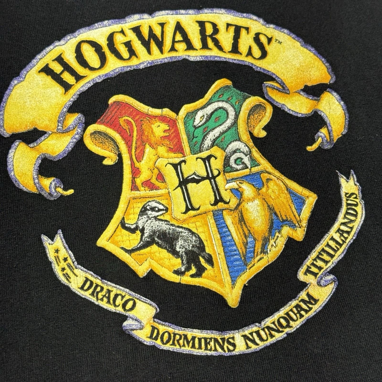 Warner Bros Vintage Harry Potter Hogwarts T Shirt Adult Medium 19x26.5 W Size US M / EU 48-50 / 2 - 4 Thumbnail