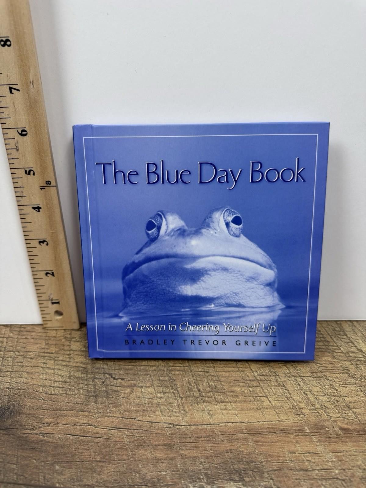 Other The Blue Day Book : A Lesson in Cheering Yourself Up Size ONE SIZE - 3 Thumbnail