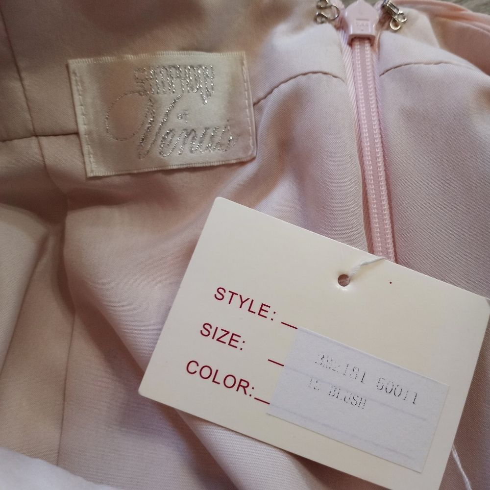 Other Symphony Of Venus Sheer Chiffon Covers Sweatheart Bodice Gown Blush Sze 12 Blush Size XL / US 12-14 / IT 48-50 - 4 Thumbnail
