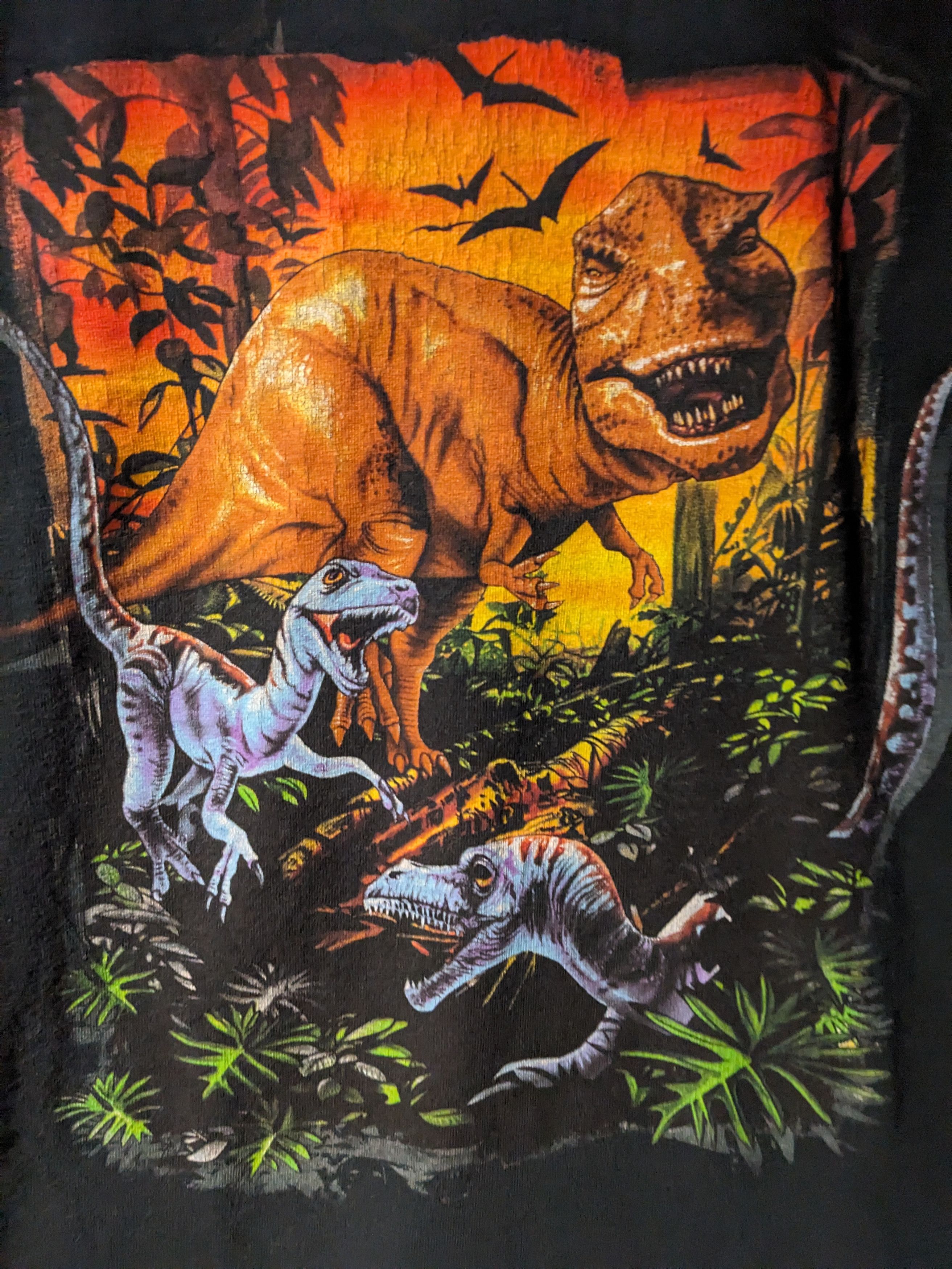 Vintage Vintage Y2K Dinosaur Nature Jurassic Park Large T-Shirt Size US L / EU 52-54 / 3 - 2 Thumbnail