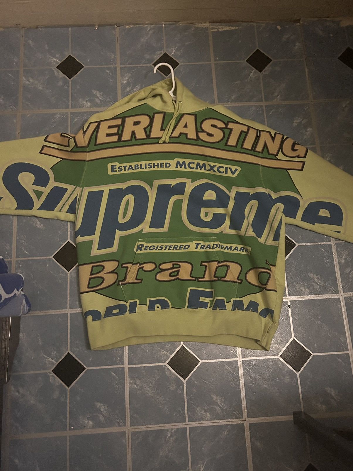 Image of Supreme Everlasting Hooded Sweatshirt ‘Light Sage’ in Green, Men's (Size XL)