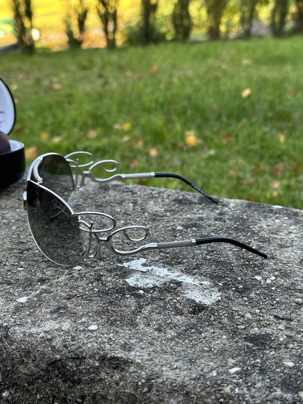 Roberto Cavalli Roberto Cavalli Sunglasses Carnela 300S E98 Silver Size ONE SIZE - 6 Thumbnail