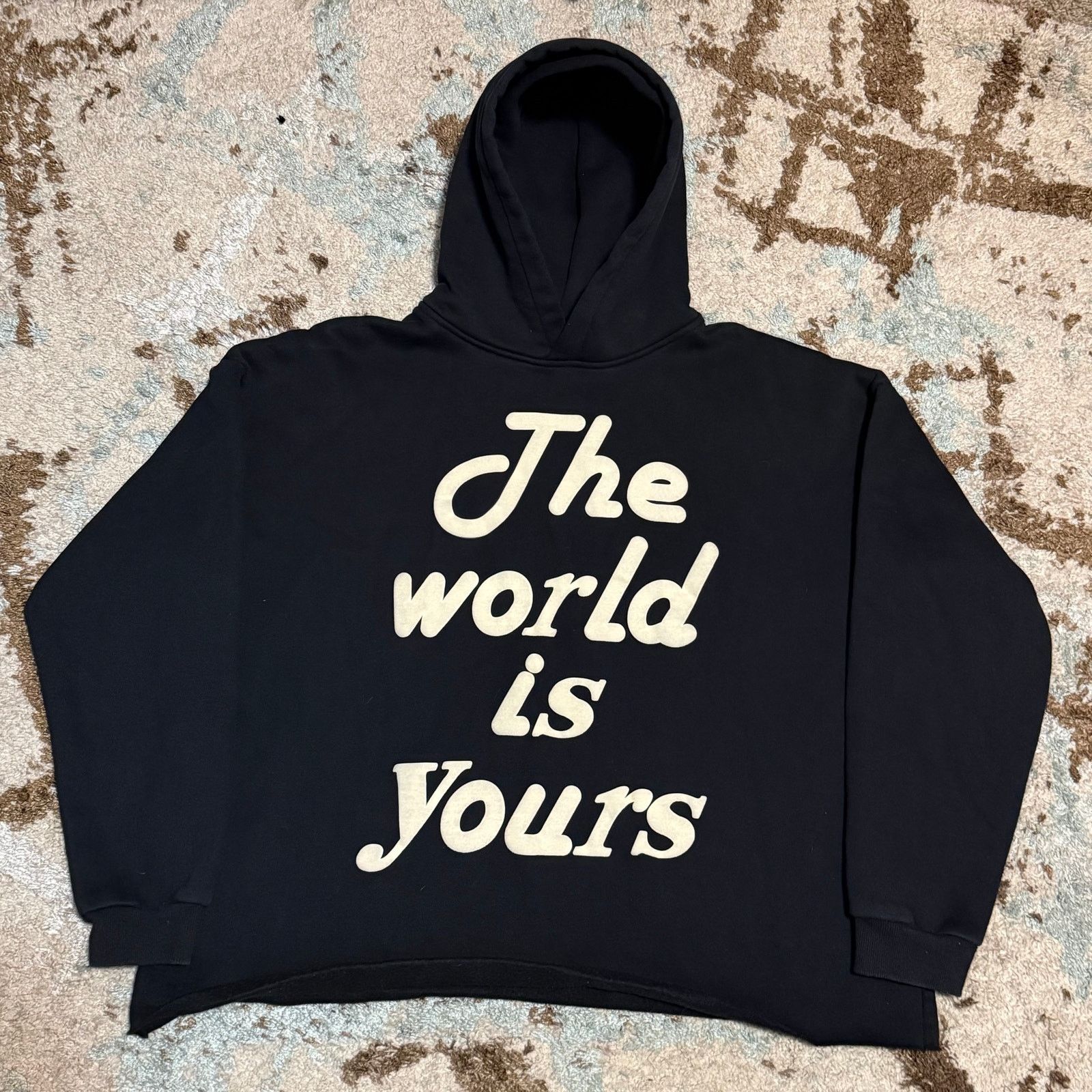Other Millii Merch The World Is Yours Cropped Hoodie Large Size US L / EU 52-54 / 3 - 1 Thumbnail