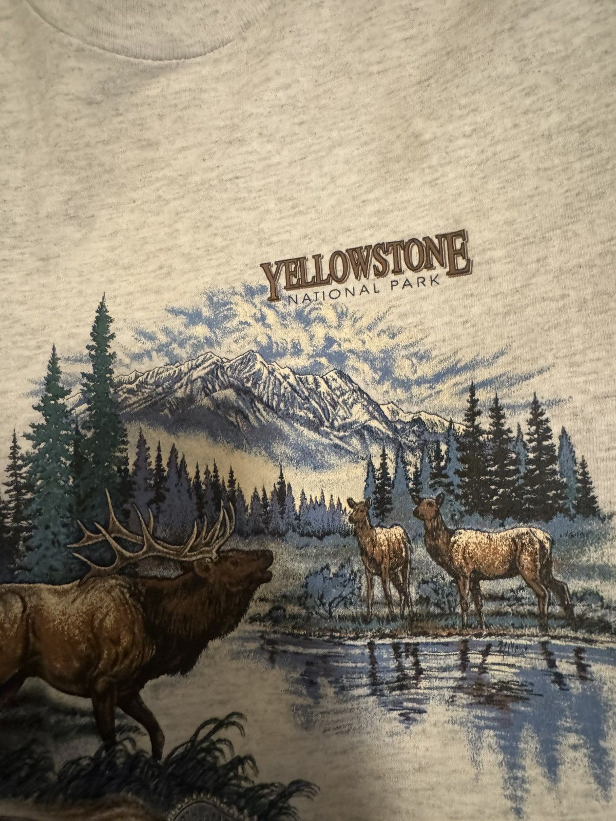 Vintage Vintage Yellowstone National Park Tee Size US L / EU 52-54 / 3 - 3 Thumbnail
