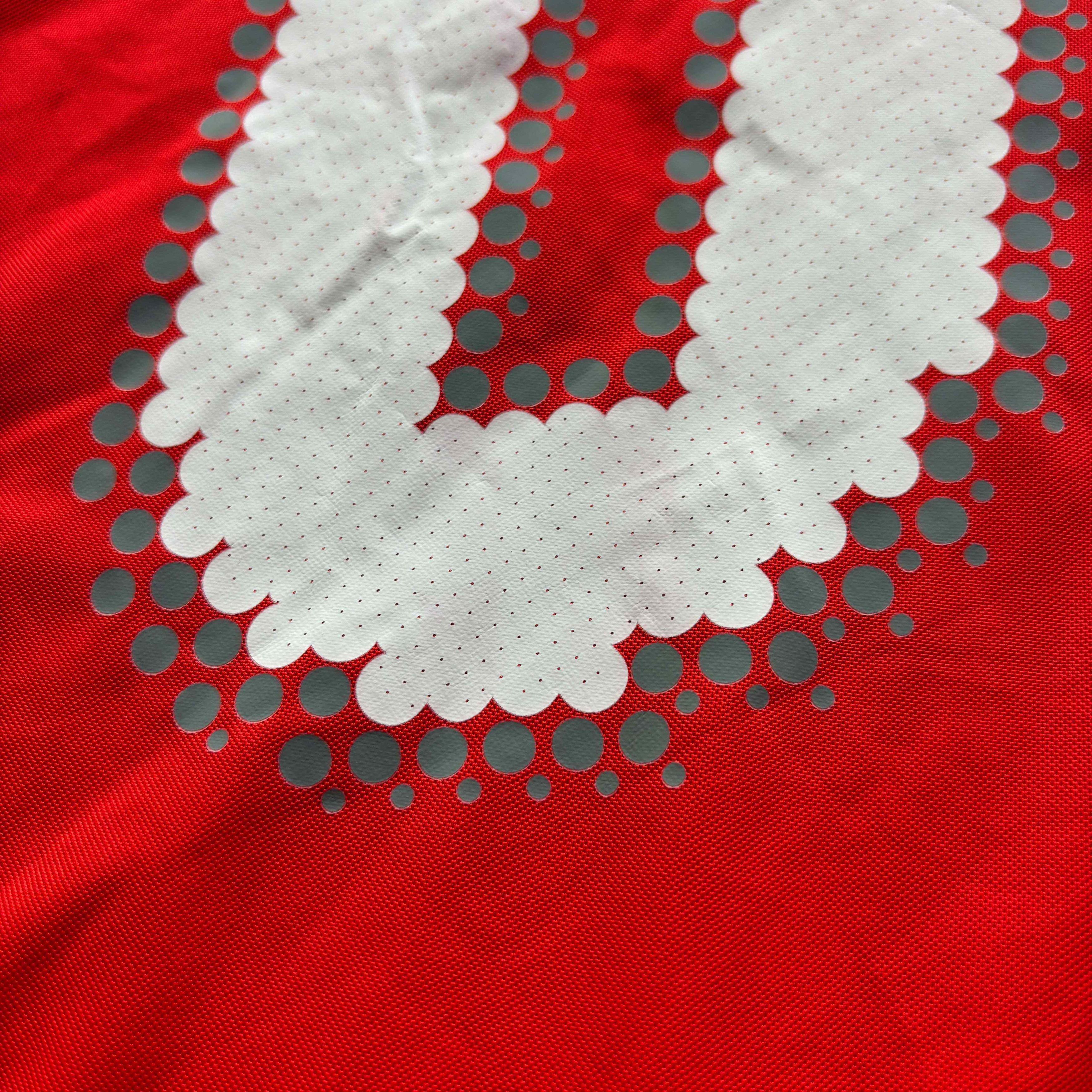Puma MATCH WORN Czech Republic 2008 Plasil football jersey XL Size US XL / EU 56 / 4 - 14 Thumbnail