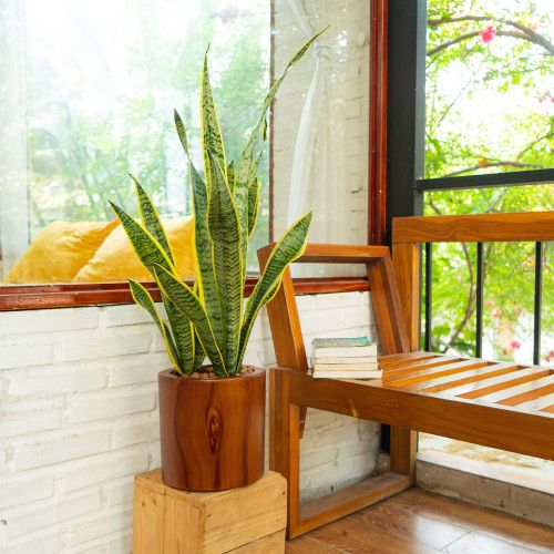 Designer × Homemade 7.8 in. Dark Wood Plastic Self-watering Planter Pot Size US L / EU 52-54 / 3 - 8 Thumbnail